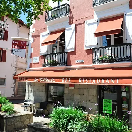 Hotel Les Tilleuls Hasparren