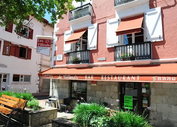 Hotel Les Tilleuls Hasparren